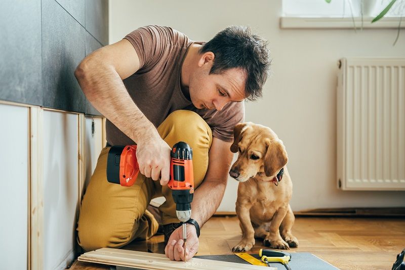 Man-and-his-dog-doing-renovation-work-at-home--cm